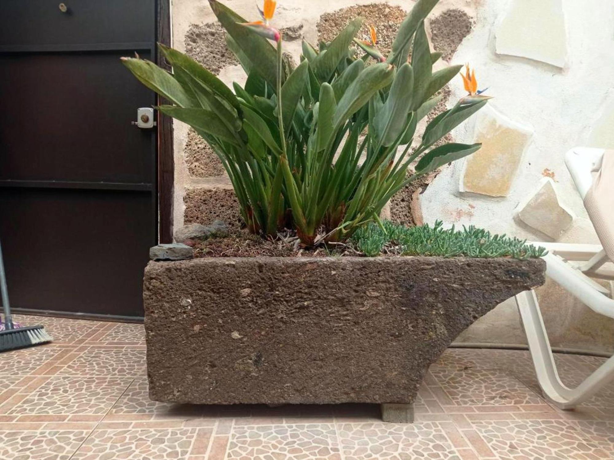 Vila Live Arico Lagar Arico el Nuevo Exteriér fotografie